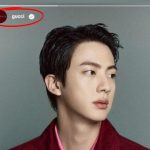 Did BTS Jin Walk In Gucci Fashion Show)