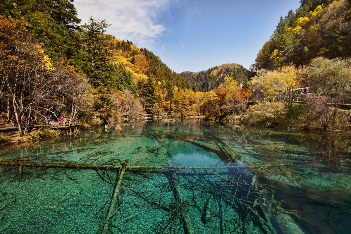 Vallace Jiuzhaigou