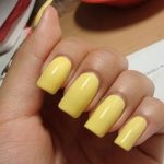 Queen Bee Nail Tips