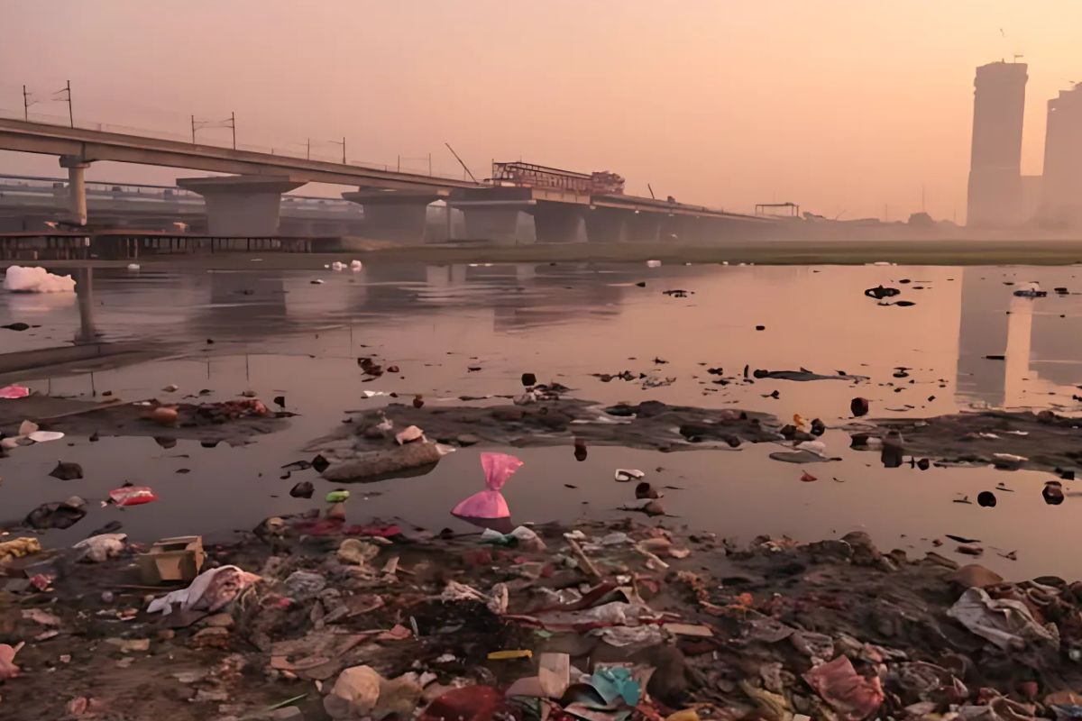 What Contaminants Are Commonly Found in Water Source