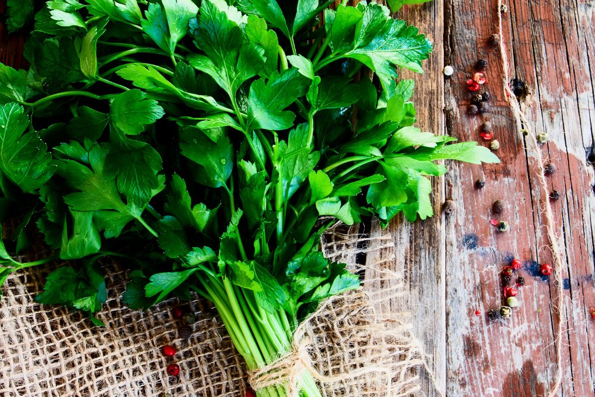 can rabbits eat parsley